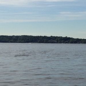 Meet your Posher, Halvb127